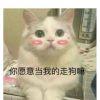 命运颜色