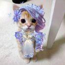 小马宝莉亮闪闪🦄