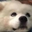 孙