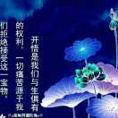 眷顾地下的Chara