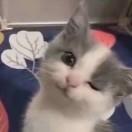 蓬蒿人
