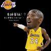 罗密欧与猪过夜