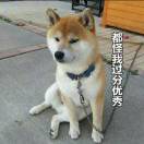 无似伍