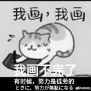 一条猫猫