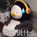 User446382122