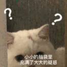 潜龙入渊
