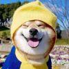 全能
