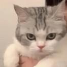 .鸡腿当然好吃