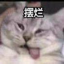 ㅤ阿巴阿巴