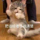 淘气小子