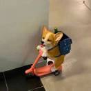 不起眼的向日葵🌻