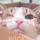 南夏