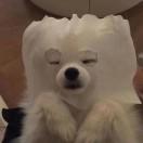 初·睡不醒·中牲