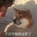塞尔达天下第一