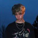 山鸟与鱼不同路