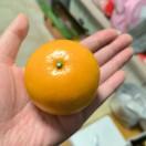 未填写