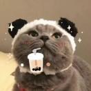 拾贰
