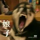 落发