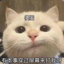 请祝我越来越娘！