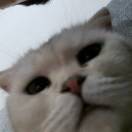 混六 太极赵渊紫