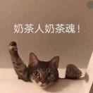 见过