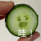 丰禾