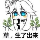 司空林子