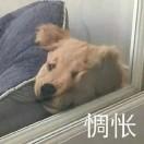 喷火龙