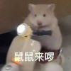 水东流