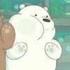 Ice bear