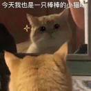 食光机