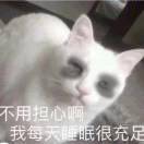 皆是虚妄