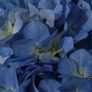 灯鱼🐟（互赞置顶）