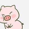 User320574469