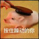 洪晖煜