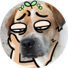 赵