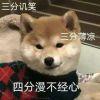 保葬男孩