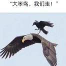 亿心向钱