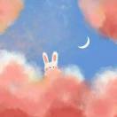 별하늘 의 토끼