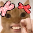 User436500093