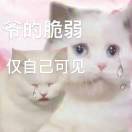 查家犊子