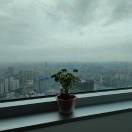 橙子多春鱼