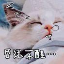 凌晨几点半