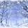 雪中漫步