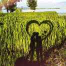 小小白/:love