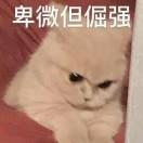 李李一