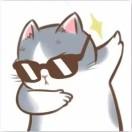 宅家的猫