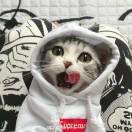 ㄖ