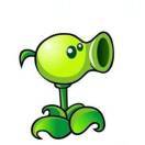 Peashooter