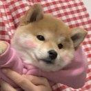蜗牛带我去散步